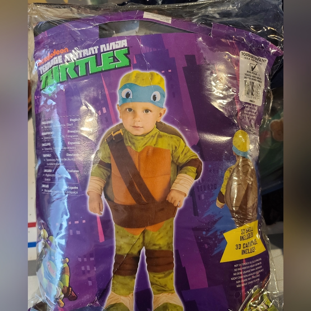 Leonardo teenage mutant ninja turtles